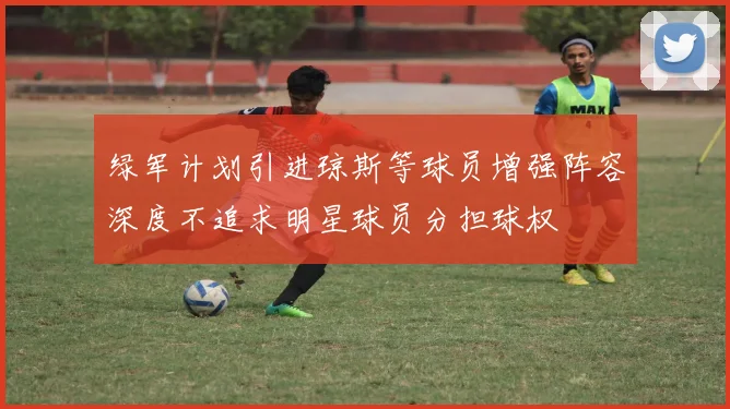 绿军计划引进琼斯等球员增强阵容深度不追求明星球员分担球权