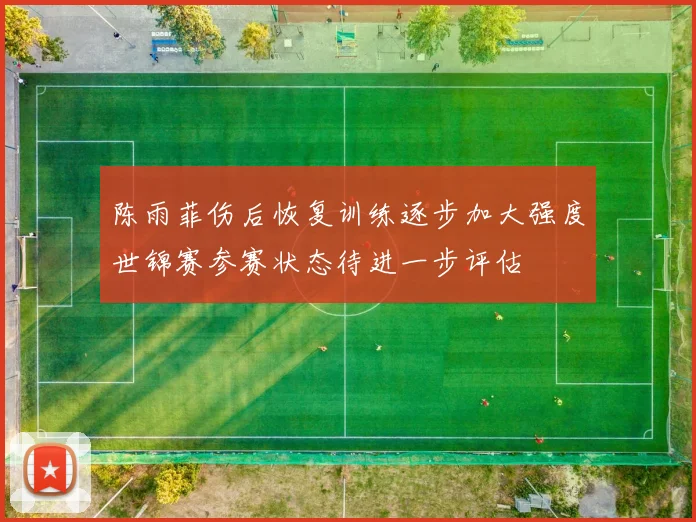 陈雨菲伤后恢复训练逐步加大强度世锦赛参赛状态待进一步评估